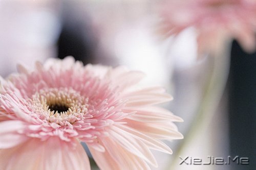 要看清自己,不要看轻自己 (9)