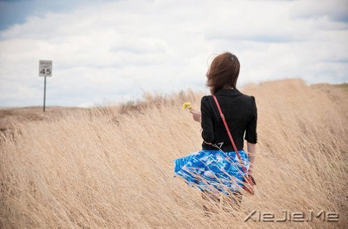 早安心语:以一颗无尘的心,还原生命的本真 (1)