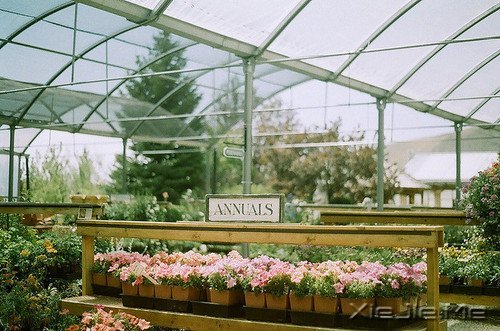 做一个微笑挂在嘴边,快乐放在心上的人 (3)