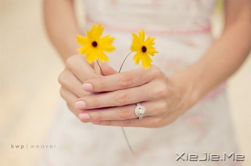 晚安心语:谁经得起浮华的绚烂,谁就经得起流年的平淡 (6)