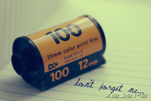 晚安心语:那些单独飞翔的人拥有最强大的翅膀 (2)