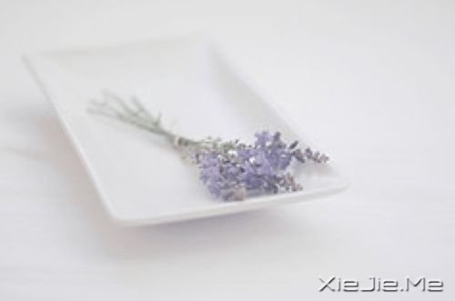 睡在向日葵上,即使沮丧,也能面朝阳光 (7)