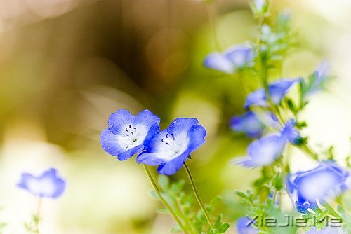 ������¼��������Թ���磬����ı��Լ� (4)