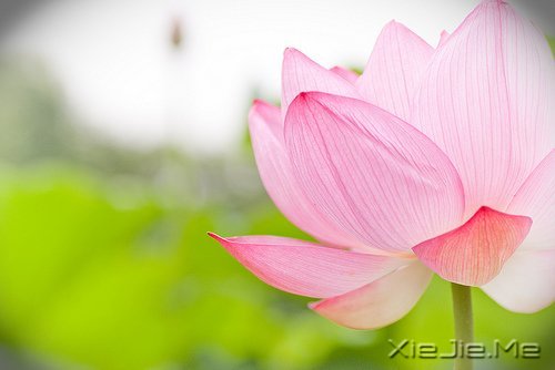 ������¼��������Թ���磬����ı��Լ� (12)