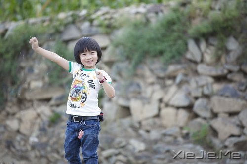 Kimi����������֮�⣬ȴ������֮��