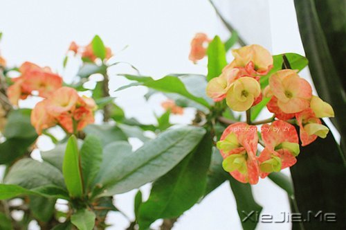 24到26岁要知道的44件事