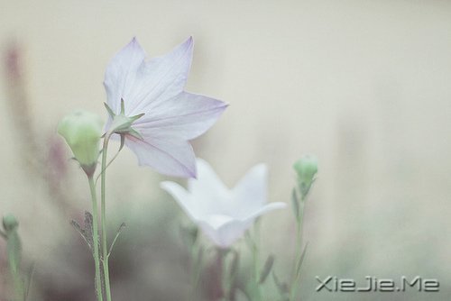 做好自己不留任何遗憾 (7)