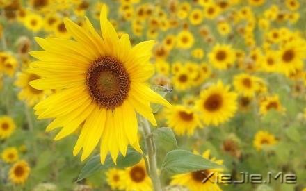 经典语录:你的世界,就是整个世界 (3)