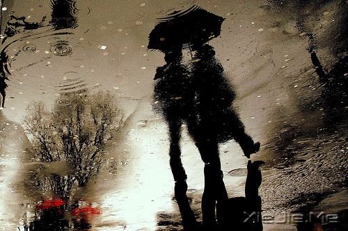 14首关于雨的纯音乐推荐 (14)