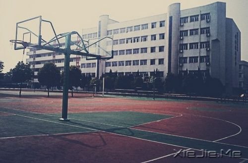 关于毕业的20首歌曲推荐 (15)