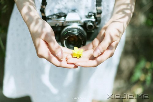 如果相遇在这条小路 (1)