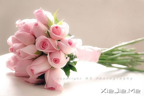 感悟生活,人生二十最 (1)